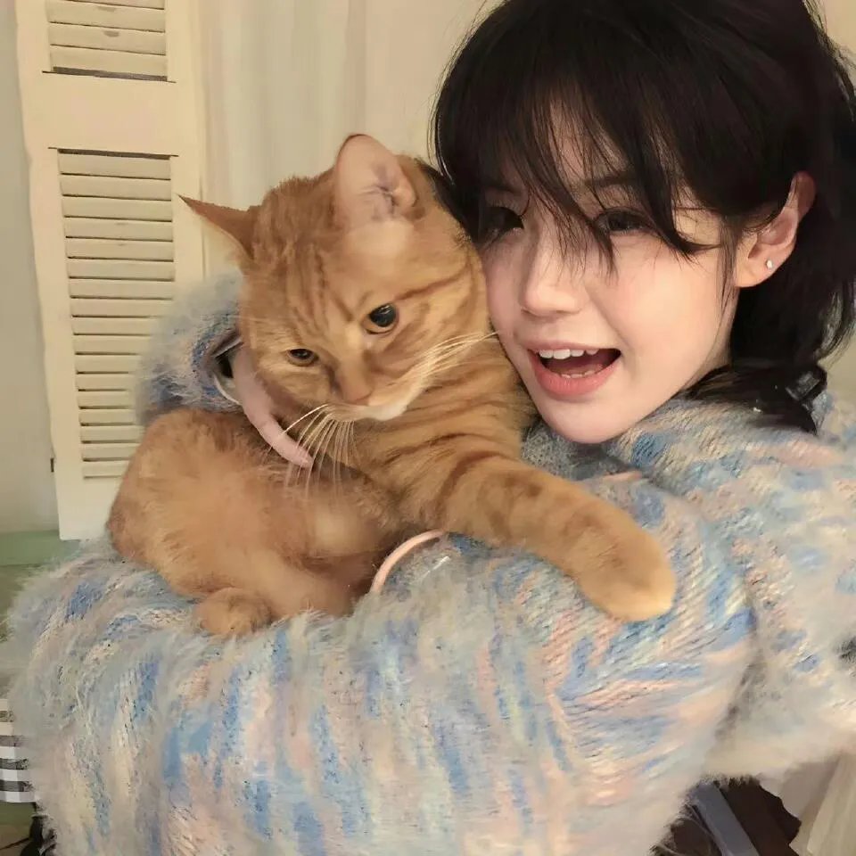 我们不危险 ～冷酷偷懒刑警们～